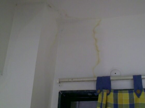 featured image - 5 Steps to Take After Water Damage in Your House