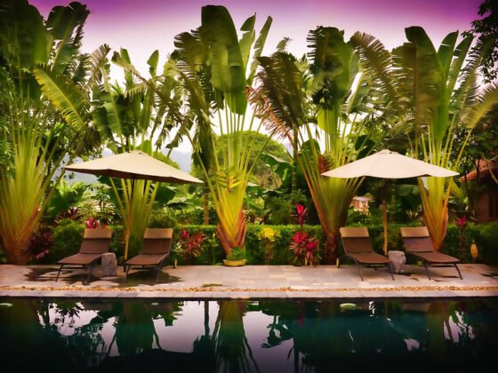 featured image - 8 Exceptional Reasons Why You Should Plant Trees Around Your Pools