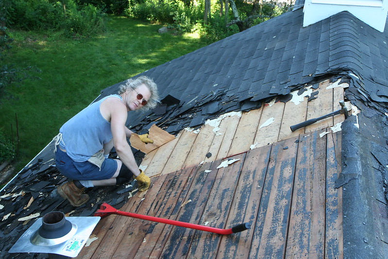 featured image - Do I Need a Roof Replacement or Repair