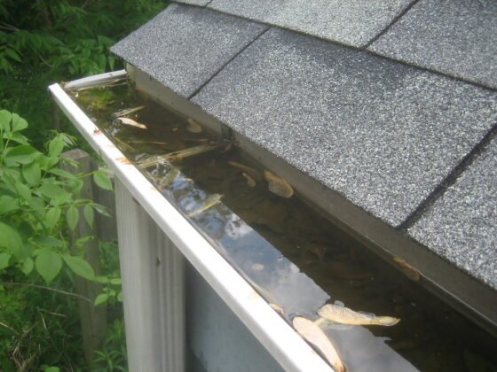 featured image - How Often Should the Gutters Be Cleaned