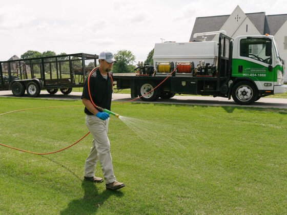 featured image - How to Get Rid of a Lawn Full of Weeds