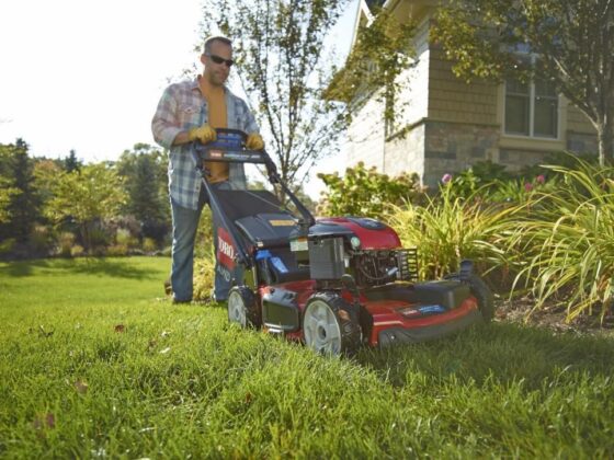 featured image - Is it Worth Paying for Lawn Care?