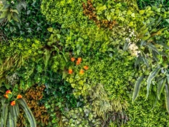 featured image - Reasons to Use Artificial Plants in Sydney Homes