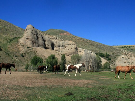featured image - The Top 3 Most Stunning Ranches for Sale in Wyoming