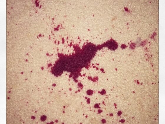 featured image - Tips and Tricks on How to Remove Red Wine from Carpet