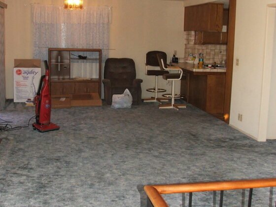 featured image - What Lives in Your Dirty Carpets