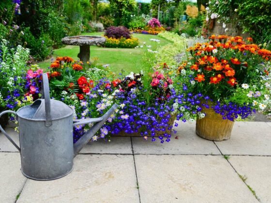 featured image - 7 Hacks to Make Gardening Easier