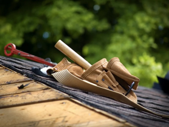 featured image - How to Select the Best Shingles for Your Roof?