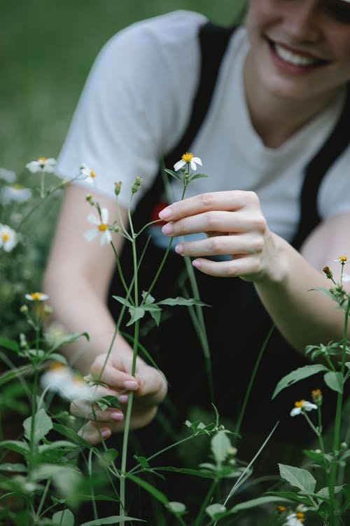 Tips for Hiring the Right Lawn Care Service for Your Garden image - Tips for Hiring the Right Lawn Care Service for Your Garden