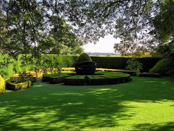 featured image - 15+ Different Types of Landscaping for Your Home