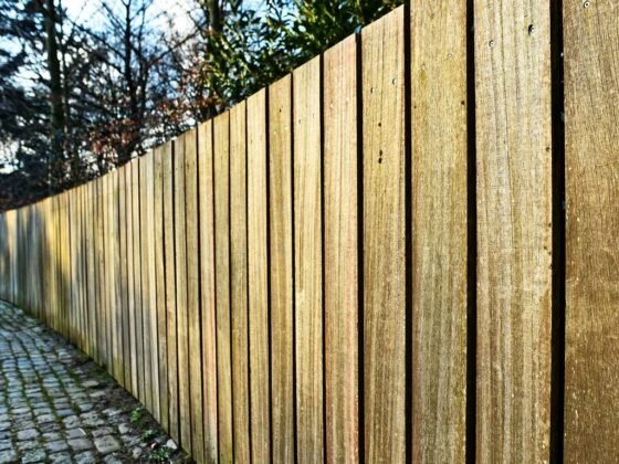featured image - 5 Essential Steps in Restoring Your Timber Fence to Its Former Glory