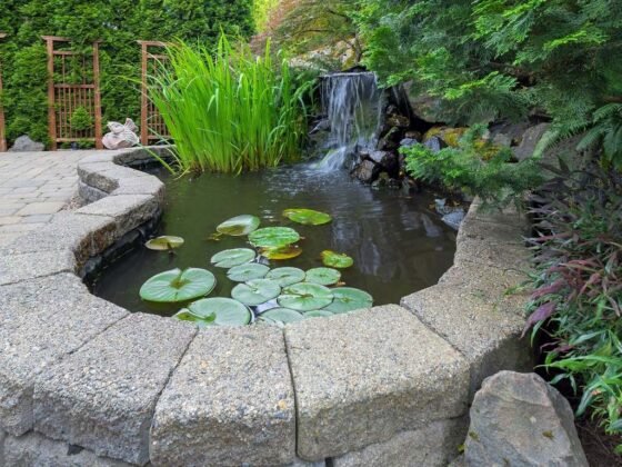 featured image - 5 Garden Structures to Elevate your Outdoor Areas