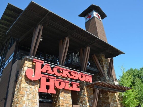 featured image - Choosing The Right Home for You at Jackson Hole Real Estate