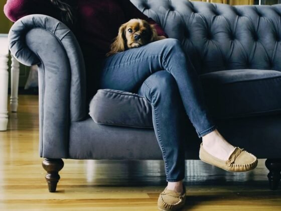 featured image - Comfortable and Stylish: How to Choose the Perfect Sofa for your Home