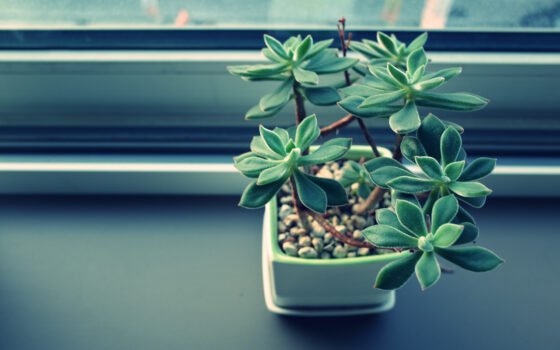 featured image - What Factors Affect Indoor Air Quality?