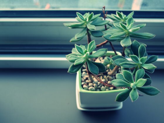 featured image - What Factors Affect Indoor Air Quality?