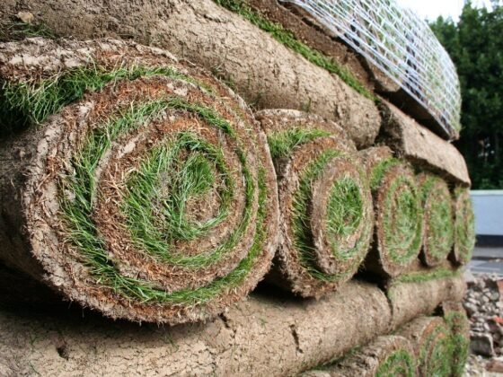 featured image - How To Find Turf Suppliers Near Me