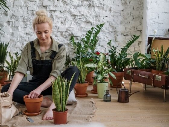 featured image - How do I Learn Basic Gardening?