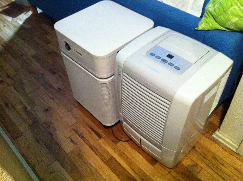 featured image - Is a Dehumidifier a Worthwhile Investment in 2021?