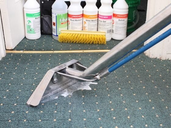 featured image - Should you Clean your Carpet or get it Replaced?