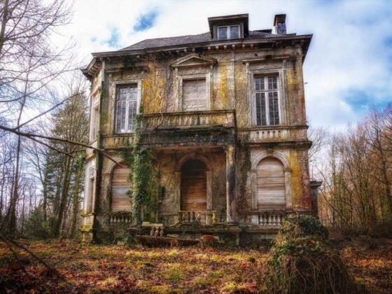 featured image - The Different Types of Structural Repairs for Your Home