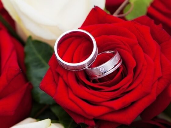 featured image - Using Preserved Rose to Plan the Perfect Spring Wedding