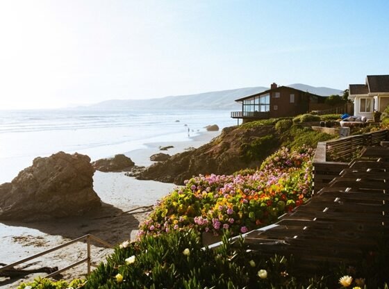 featured image - What do you Need to Know When Choosing a House on The Ocean?