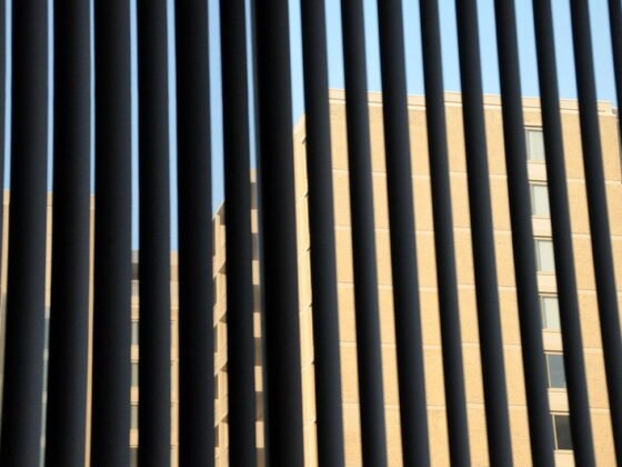 featured image - Which Blind to Choose for My Apartment