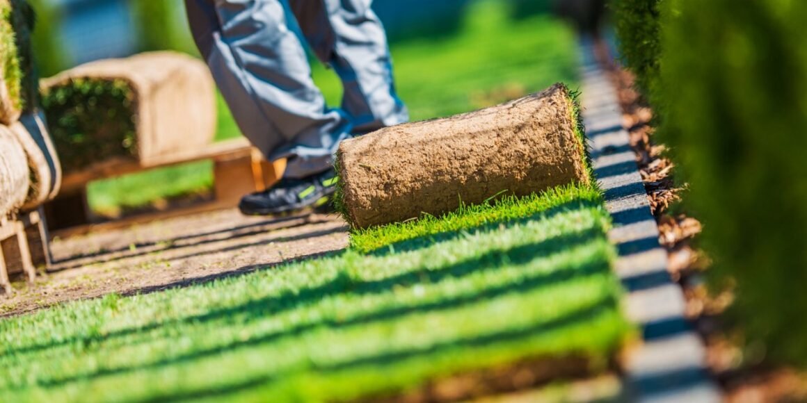 featured image - 5 Curb Appeal Landscaping Ideas on a Budget to Consider