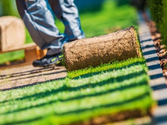 featured image - 5 Curb Appeal Landscaping Ideas on a Budget to Consider