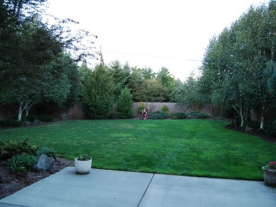 featured image - 5 Huge Benefits of Buying a Home with a Big Backyard
