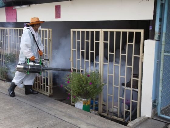 featured image - Can Spraying Help Control Mosquitoes?