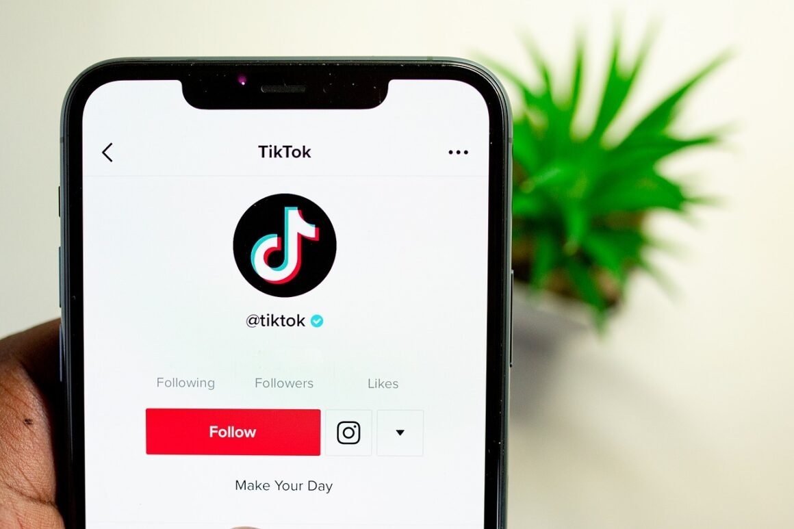 featured image - Inspiring TikTok Branding Tactics to Boost Your Business Brands In 2023