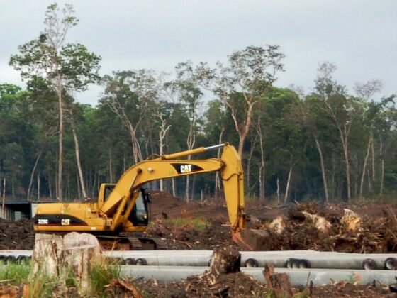 featured image - Land Clearing