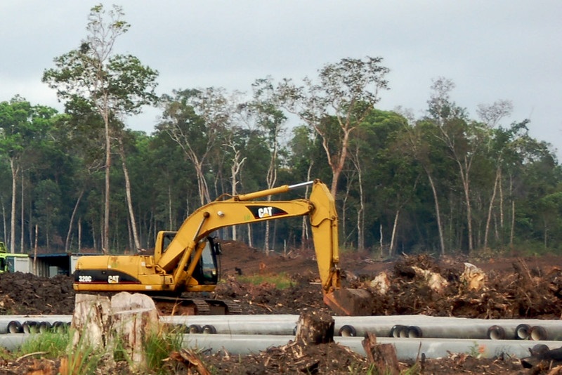 image - Land Clearing 