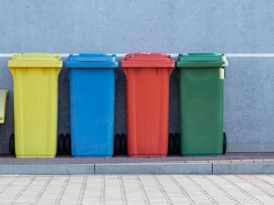 featured image - Waste Removal How to Get Rid of Commercial Waste