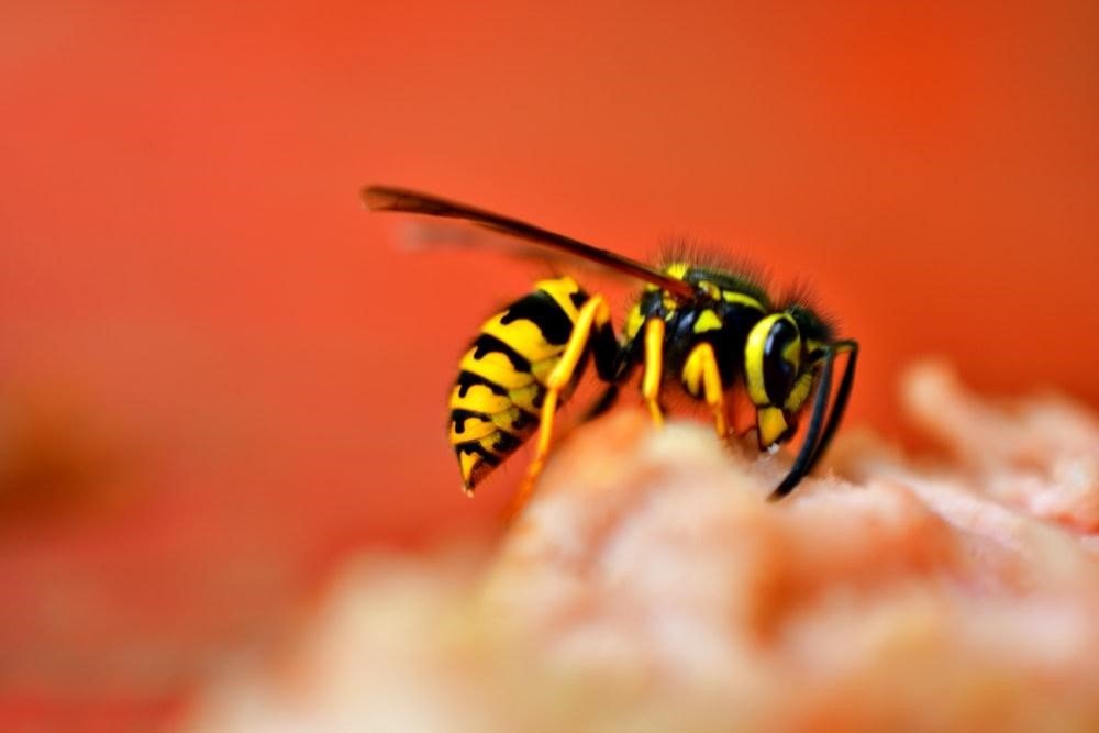 What On Earth is That Humming Sound? image - What On Earth is That Humming Sound?