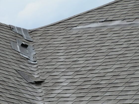 featured image - What are the Common Signs of Roof Hail Damage?