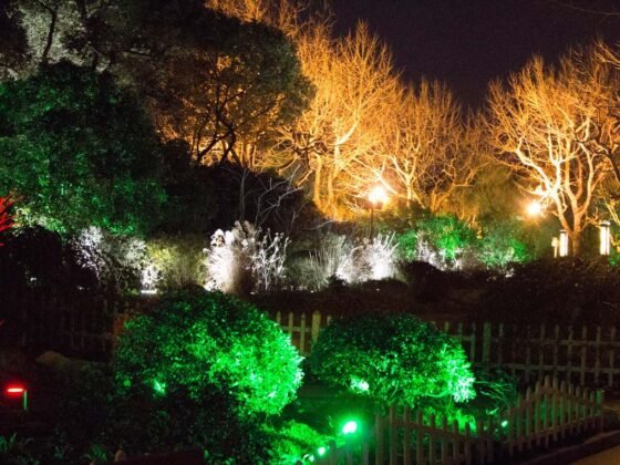 featured image - What is the Best LED Landscape Lighting?