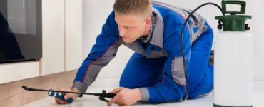 featured iamge - What to Look for When Hiring a Pest Control Company