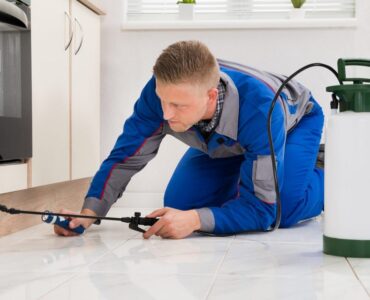 featured iamge - What to Look for When Hiring a Pest Control Company