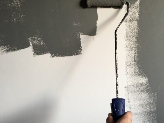 featured image - Steps to Painting a Wall How to do it Yourself