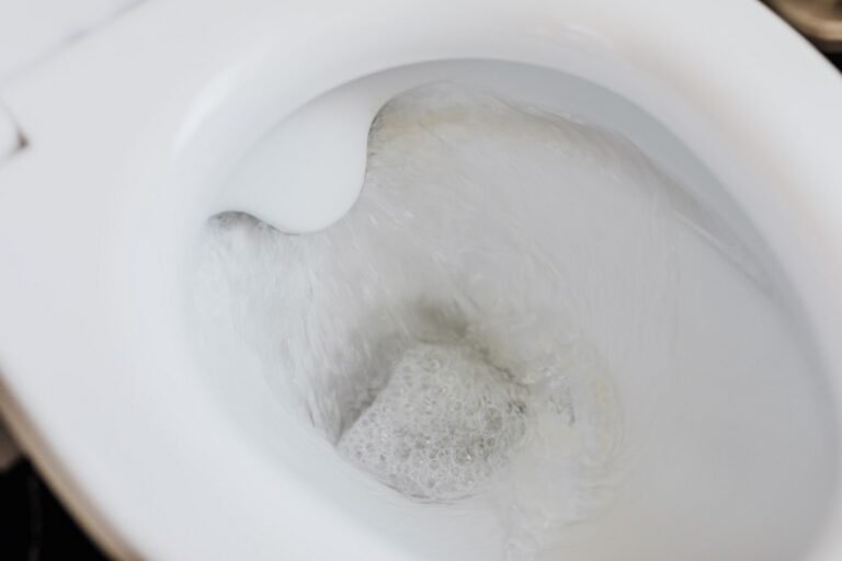 7 Reasons Why Toilets Get Clogged So Often