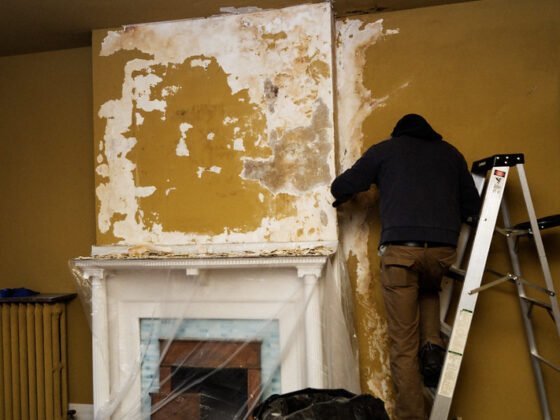 featured image - 7 Reasons to Opt For Professional Mold Removal