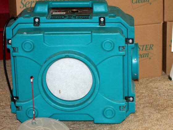 featured image - Do Air Purifiers Work for Mold at Home