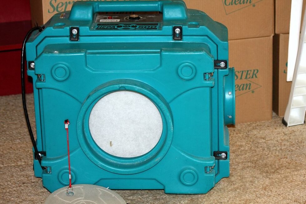 Do Air Purifiers Work for Mold at Home?