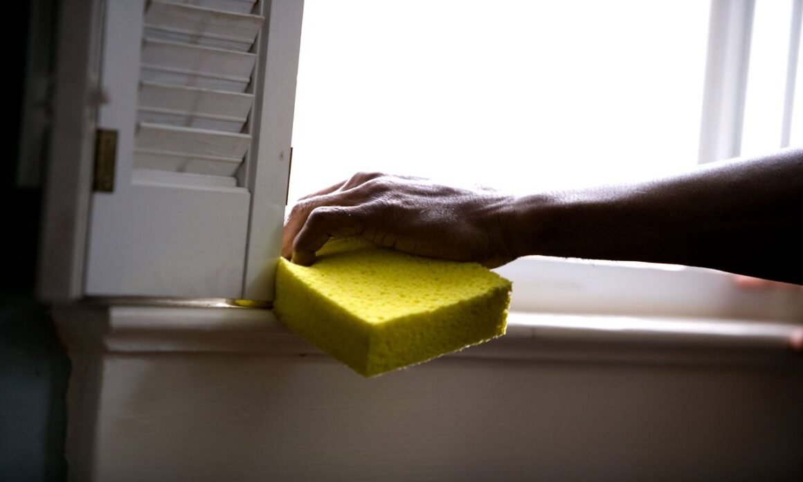 featured image - Get A Budget Professional Window Cleaning Every Month