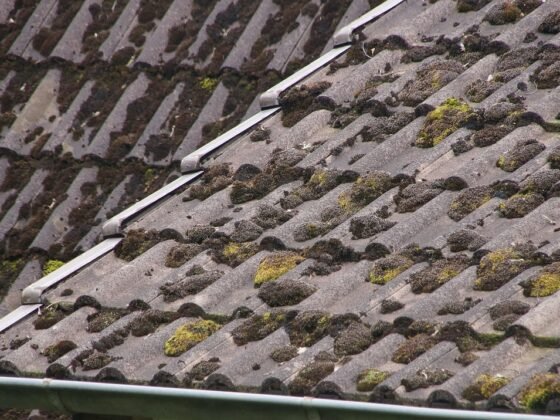 featured image - Is Your Roof Leaking 7 Signs You Need to Repair Your Roof