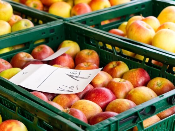 featured image - Things You Need for Starting Your Own Market Stall