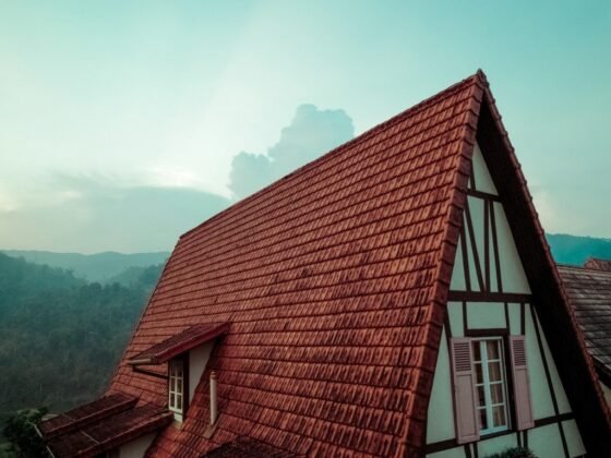 featured image - Why Should You Take Extra Care of Your Roof